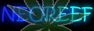 NEOREEF